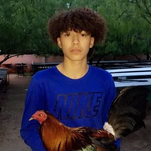 Meet your Posher, Trey